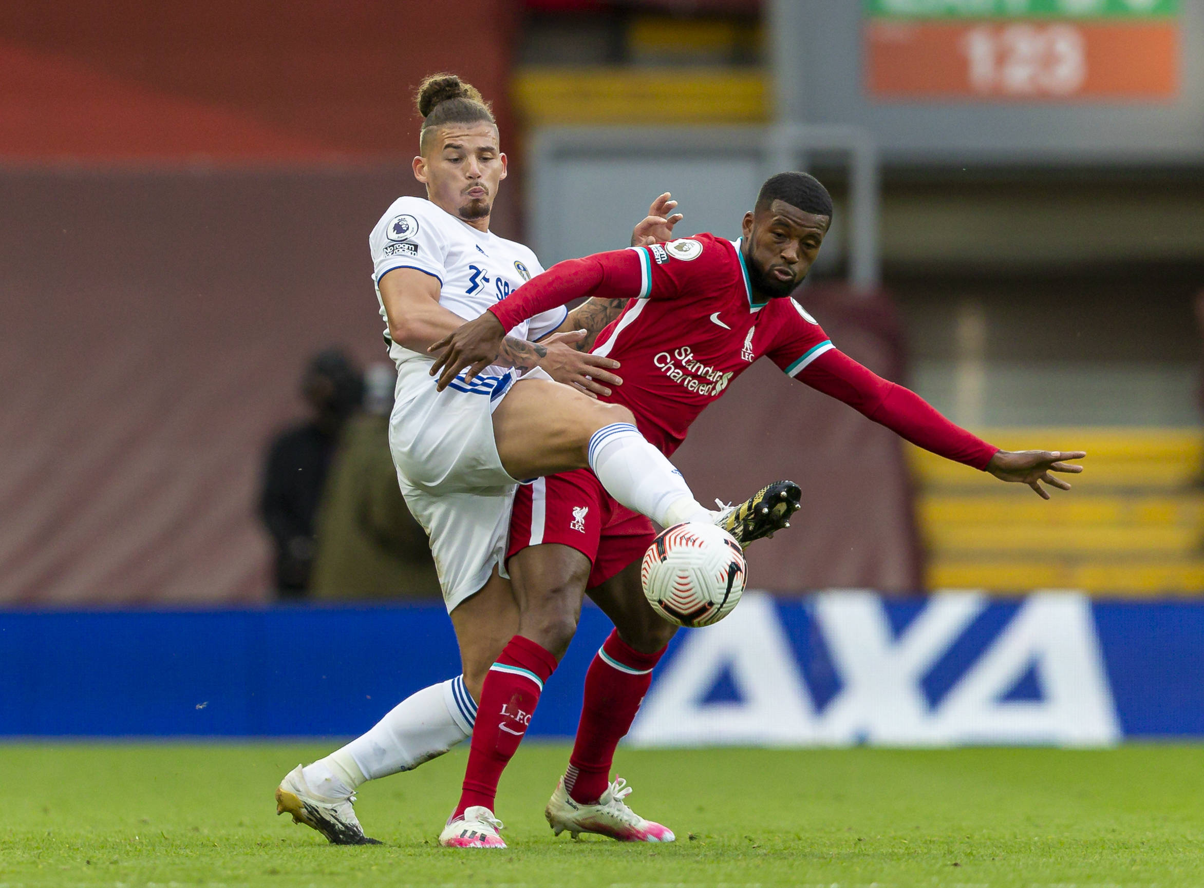 增加直播内 增加直播内